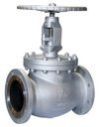 Globe Valve