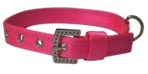 Dog Collars