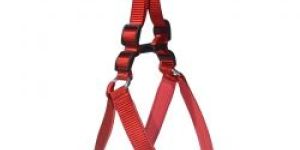 Dog Harness