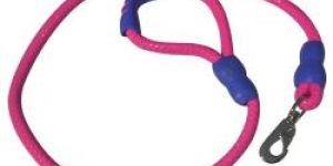 Dog Leads