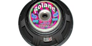 15 Inch 350 Watt Speaker