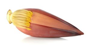 Fresh Banana Flower