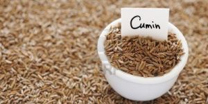 Cumin Seeds