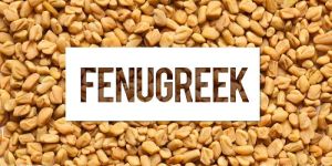 Fenugreek Seeds