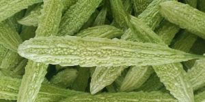 Bitter Gourd