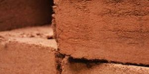 Coco Peat Blocks