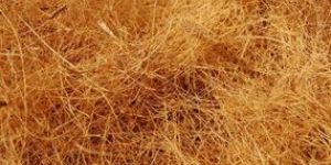 Coir Fiber