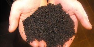 Agricultural Vermicompost
