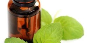 Peppermint Oil