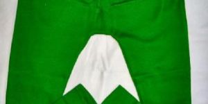 Lycra Leggings