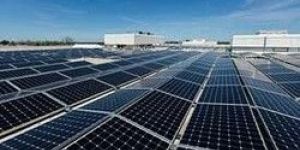 Solar Plant Structures