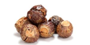 Soap Nuts