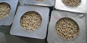 Cashew Nuts