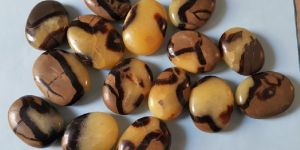 Septarian Palm Stones