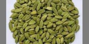 Green Cardamom