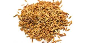 Cumin Seeds
