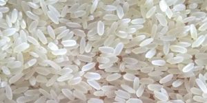 Non Basmati Rice
