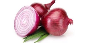Onion
