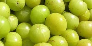 Indian Gooseberry