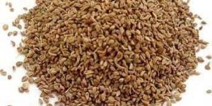 Ajwain Seeds