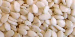 Sesame Seeds