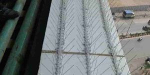 Stainless Steel Inch Birds Spike