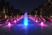 Fountain Lights