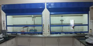 Platform Mounted Fume Hood