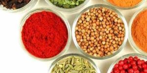 Indian Spices