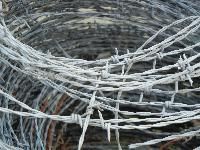Galvanized Barbed Wire