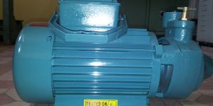 Export Pumps Monoblock