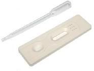 Pregnancy Test Kits