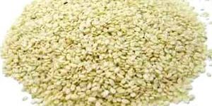 White Sesame Seeds