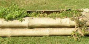 Bamboo Planters