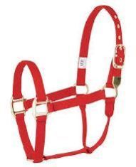 Nylon Halters