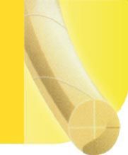 Surgical Absorbable Sutures