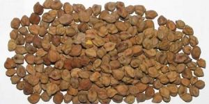 Brown Chickpeas