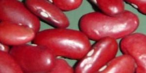 Red Kidney Beans
