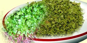 Coriander Leaves, Coriander Powder