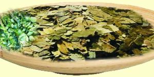 Dry Curry Leaves, Curry Powder