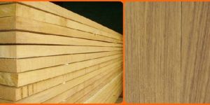 Burma Teak Wood