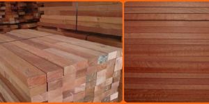 Meranti Wood