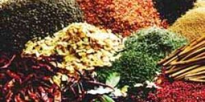Spices