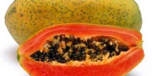 Fresh Papaya