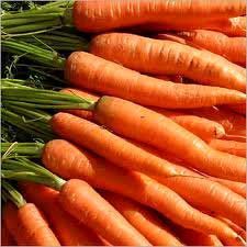 Fresh Carrots