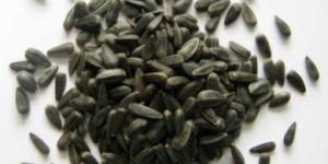 Sunflower Seeds