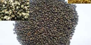 Urad Dal