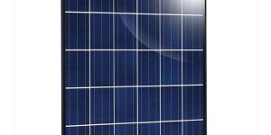 ISL SONA 36 P Indosolar Solar Module