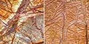 Bidasar Brown Marble