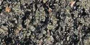 Nagina Green Granite